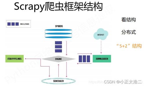 Python網(wǎng)絡(luò)爬蟲(chóng)實(shí)戰(zhàn) Scrapy與Beautiful Soup的使用及數(shù)據(jù)處理技巧